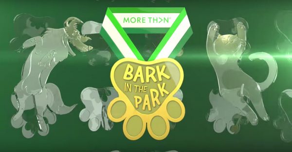 bark-in-park